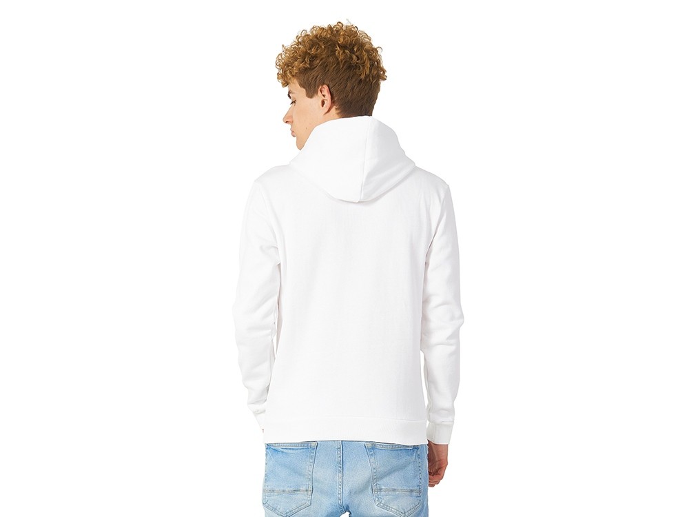 Толстовка с капюшоном «Amsterdam» мужская (25988)