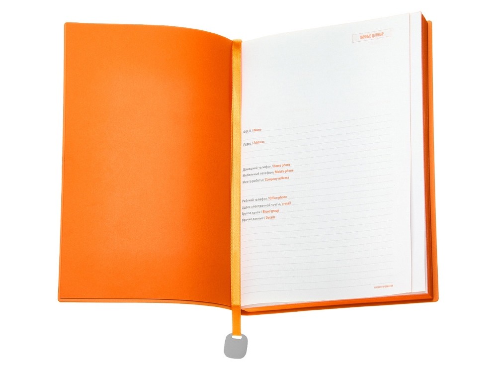 Ежедневник недатированный А5 «Mercury» (26566)