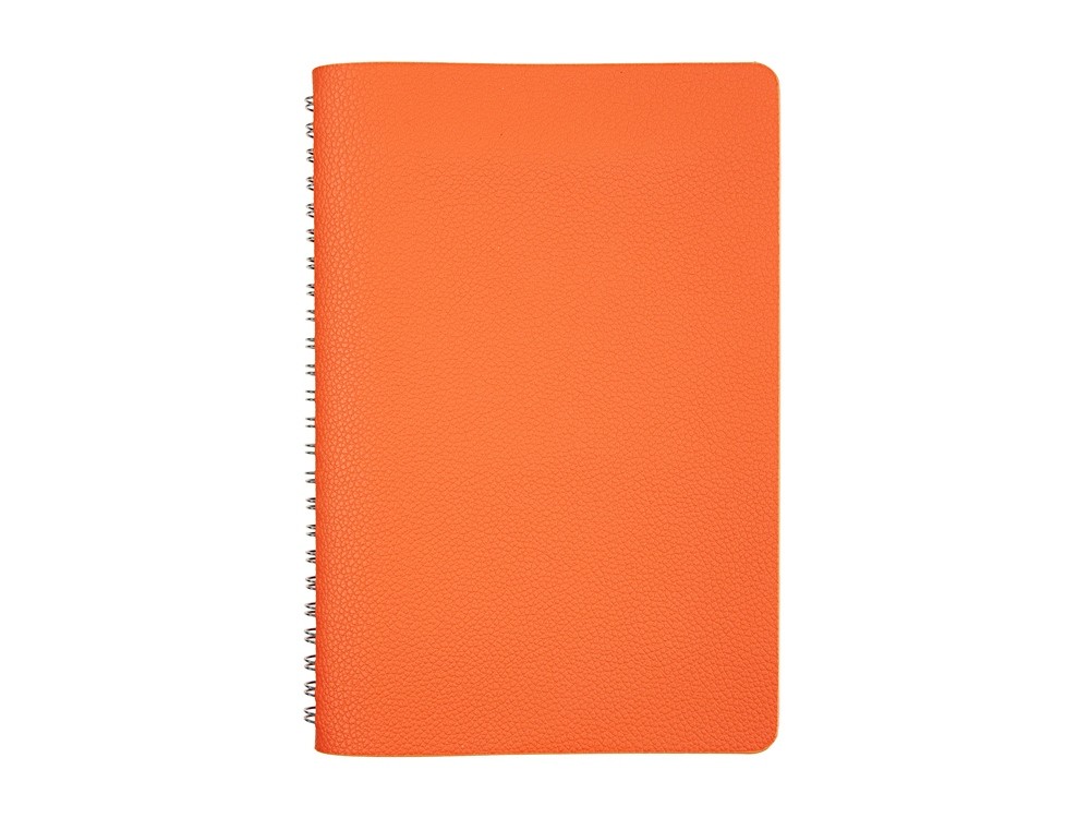 Ежедневник недатированный А5 «Alba» (26575)