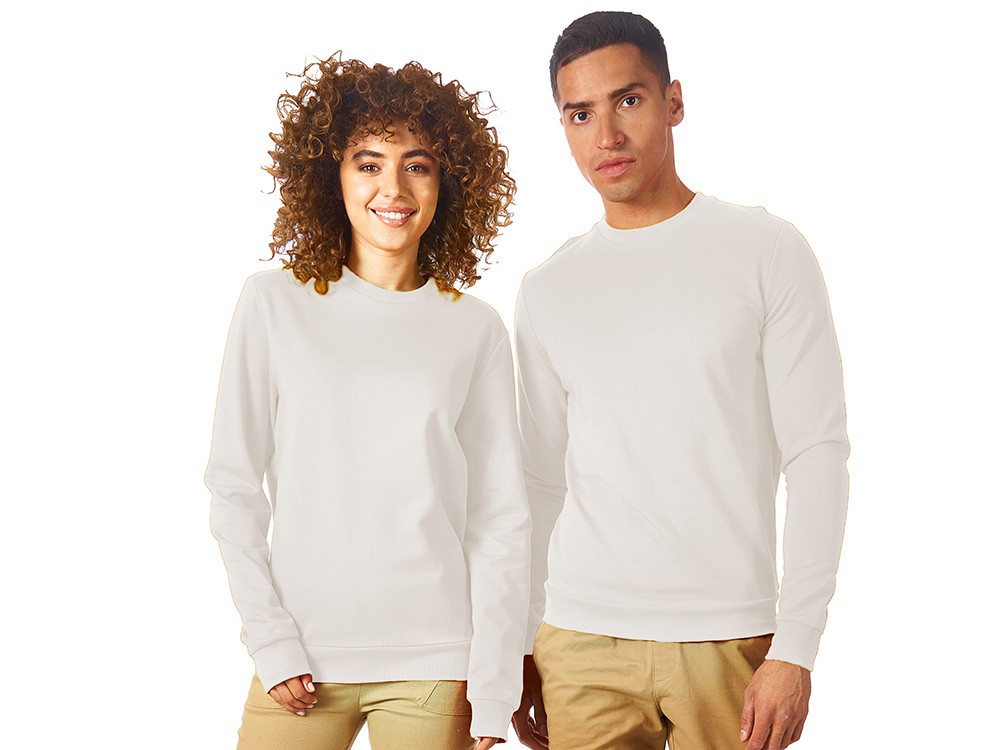 Свитшот «Motion» с начесом, унисекс (2763)