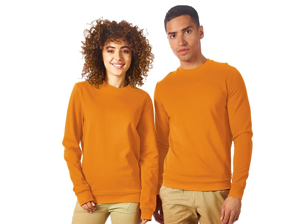 Свитшот «Motion» с начесом, унисекс (2769)