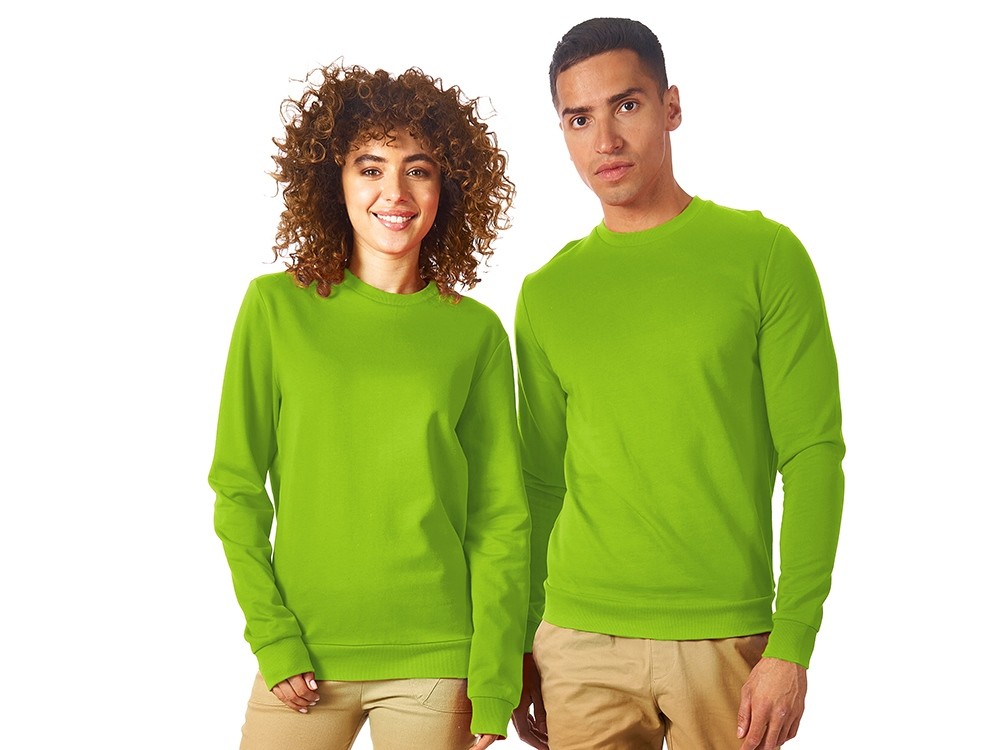 Свитшот «Motion» с начесом, унисекс (2775)